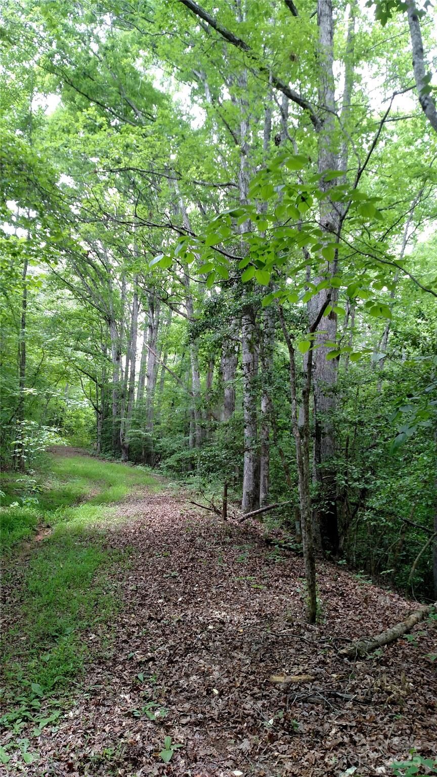 Property Photo:  375 Timber Road  NC 28080 