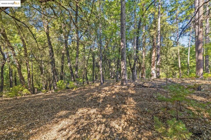 Property Photo:  23744 Mount Elizabeth Rd  CA 95383 