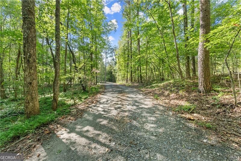 Property Photo:  0 Cleve Wright Road  GA 30534 