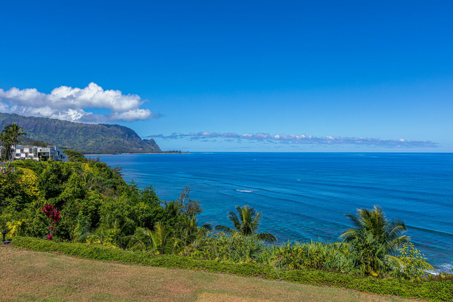 Property Photo:  5300 Ka Haku Rd 203  HI 96722 