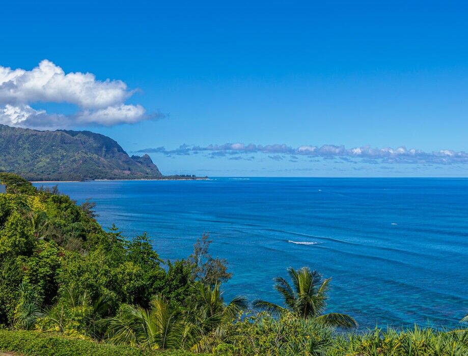 Property Photo: 5300 Ka Haku Rd 203 HI 96722