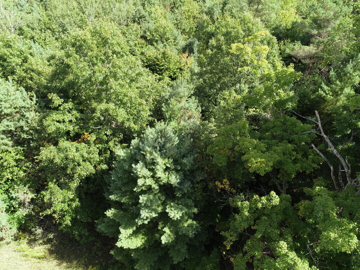 Property Photo:  00 N Hawkins Road  MI 49656 
