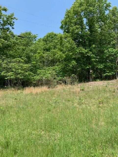 Property Photo:  0 65th Street  MI 49423 