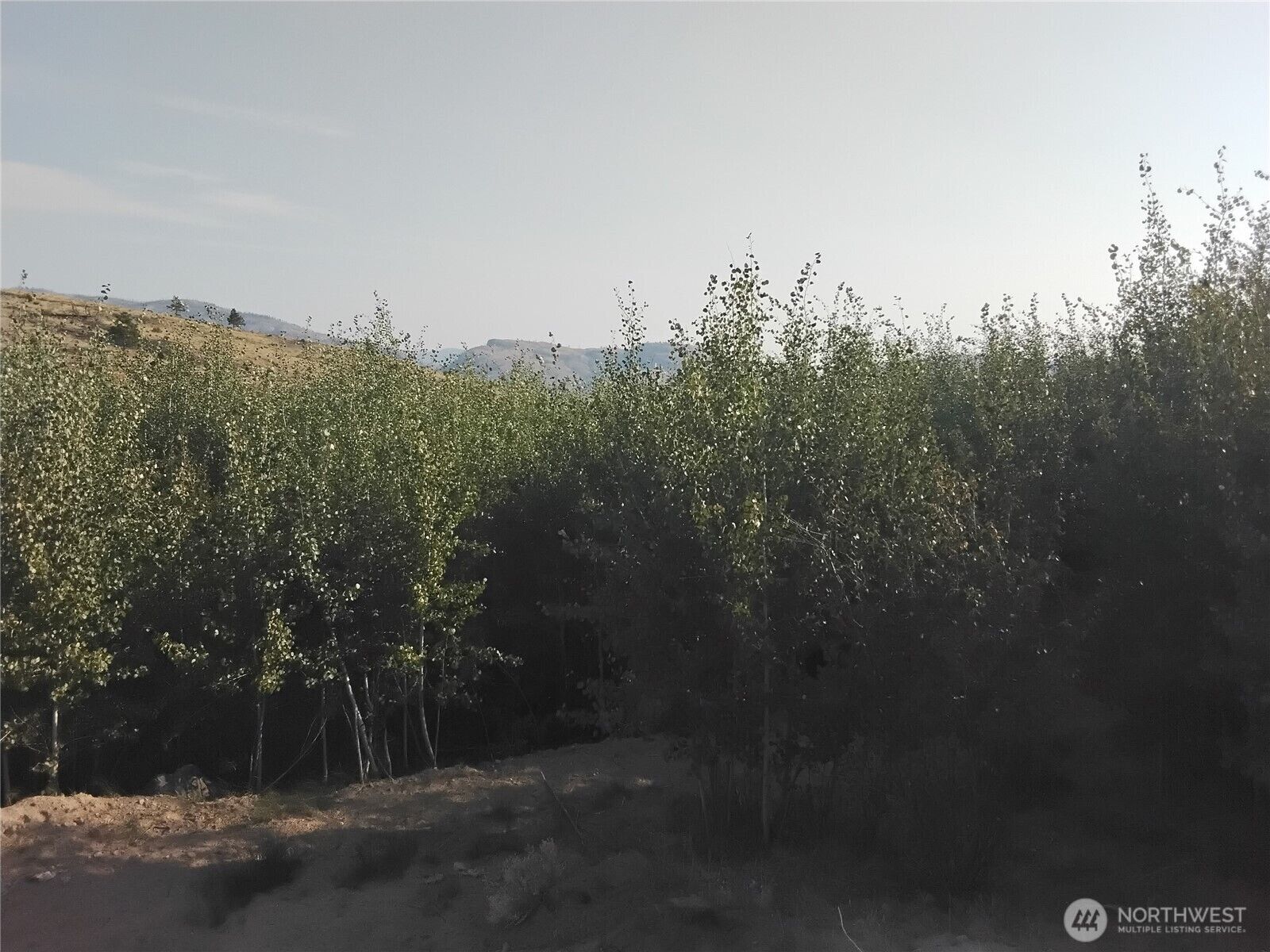 Property Photo: 5 Painted Rock Road WA 98855