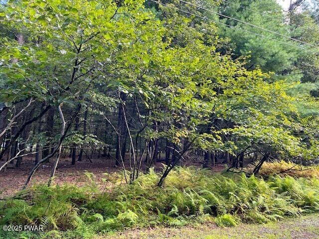Property Photo: Lot 235A Hound Road PA 18328
