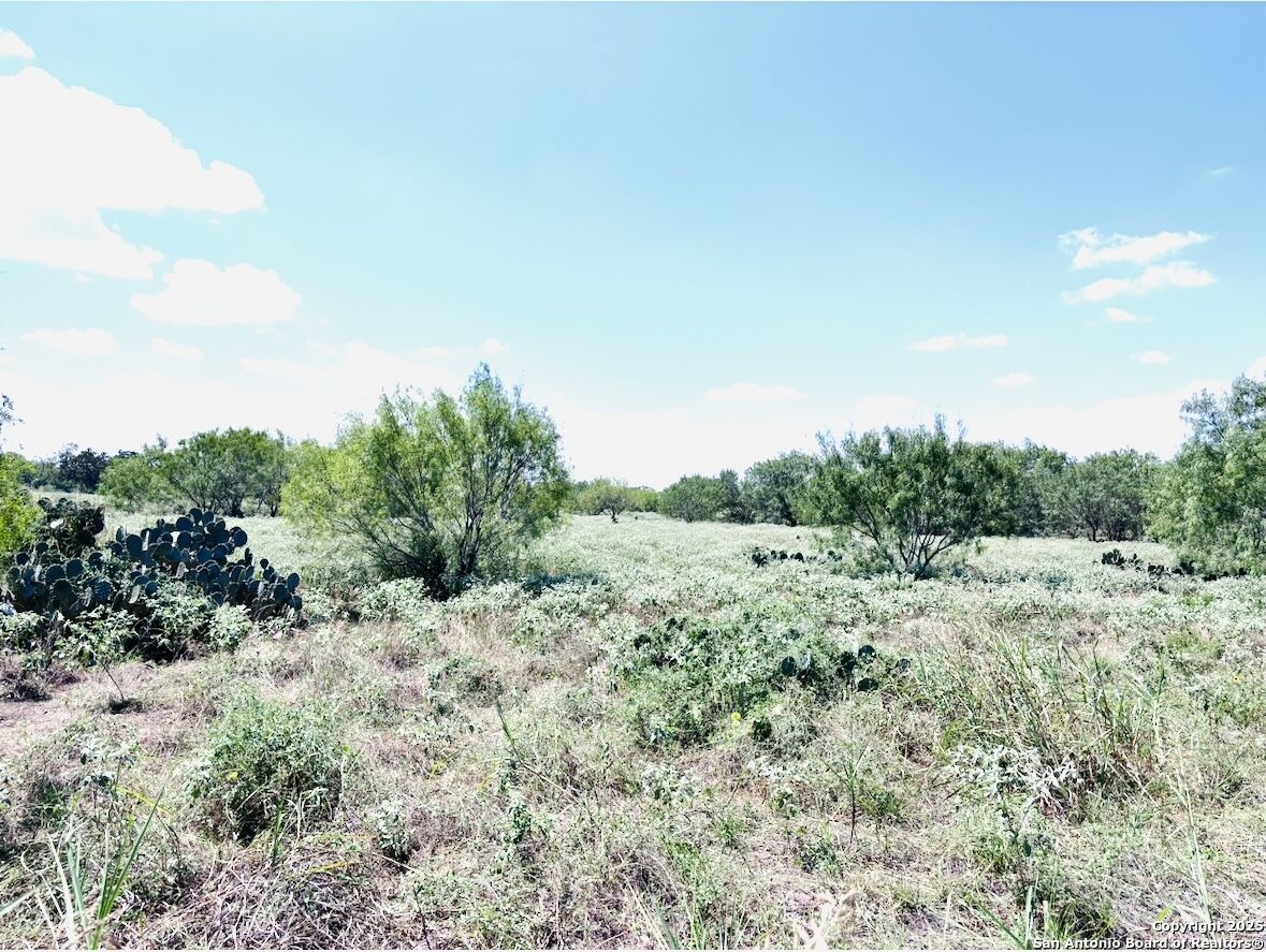 Property Photo:  0 N State Highway 16  TX 78026 