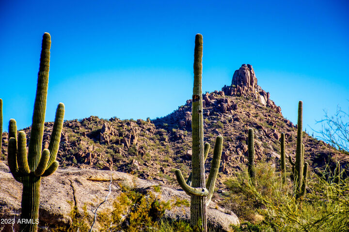 Property Photo:  27777 N 95th Street 1  AZ 85262 