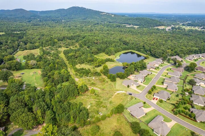 Property Photo:  Tbd Lee Warren Lane  AR 71913 