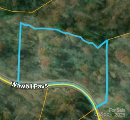 00 Wambli Pass  Lake Lure NC 28746 photo