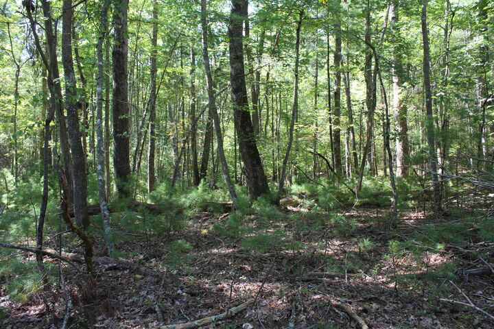 Property Photo:  Lot 14 &Amp 15 Roses Way Highland Springs Subdivision  WV 24901 