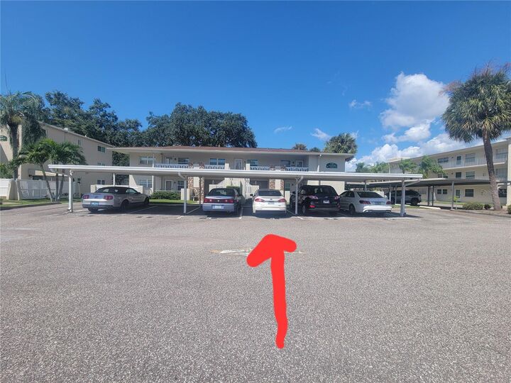 Property Photo:  930 Virginia Street 202  FL 34698 