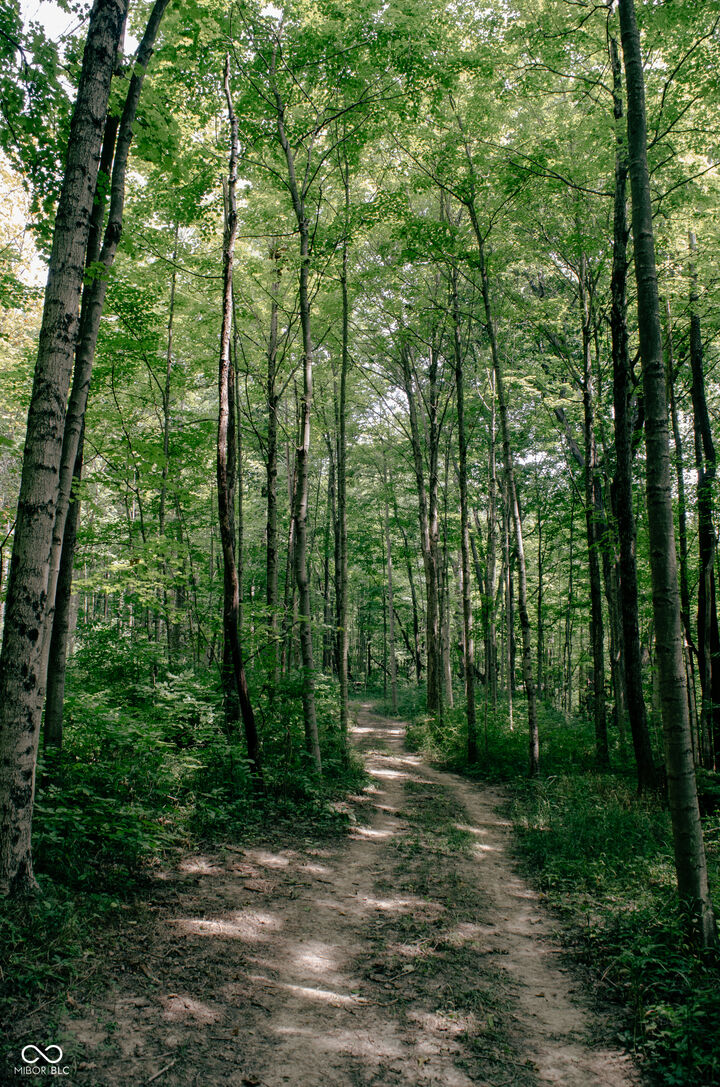 Property Photo:  1715 Templewood Drive  IN 46077 