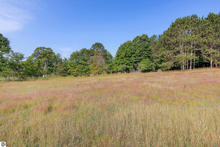 Property Photo:  0 Elm Street  MI 49635 