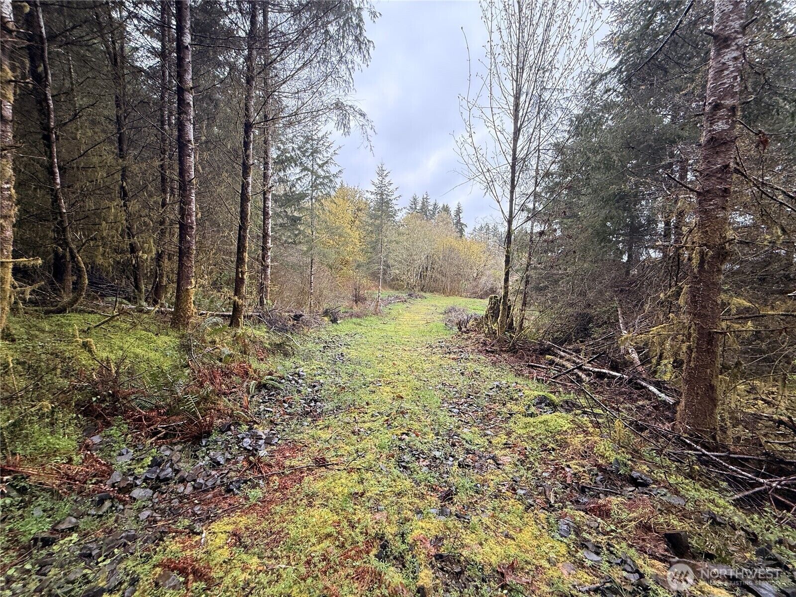 Property Photo:  0  Bunker Creek Road  WA 98522 