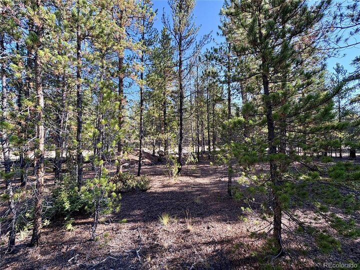 Property Photo:  Tbd-Lot 479 Birch Drive  CO 80461 