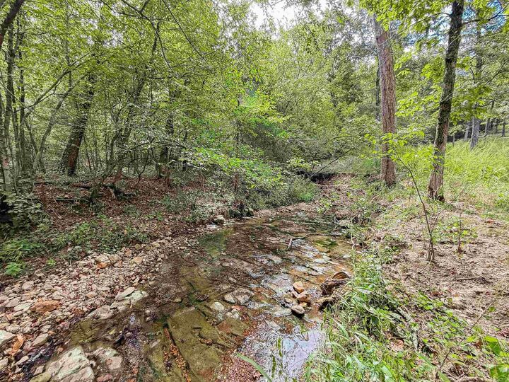 Property Photo:  Tbd Highway 163  AR 72542 