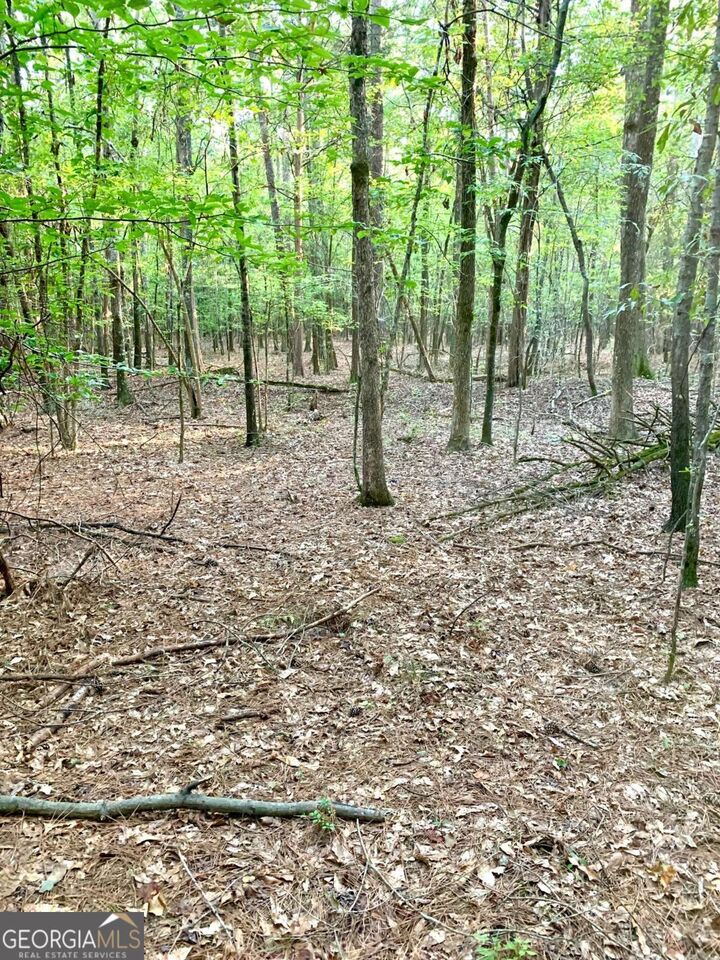 Property Photo:  0 Archer Grove School Road Tract B  GA 30607 