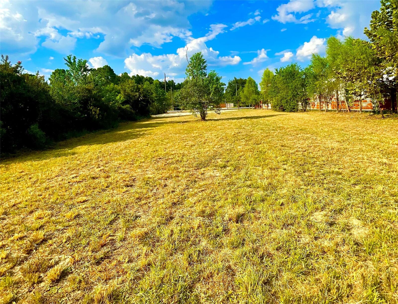 Property Photo:  3277 County Road 3479B  TX 77327 
