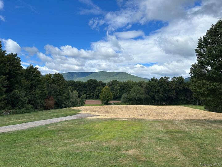 Property Photo: 4155 Route 32 NY 12477