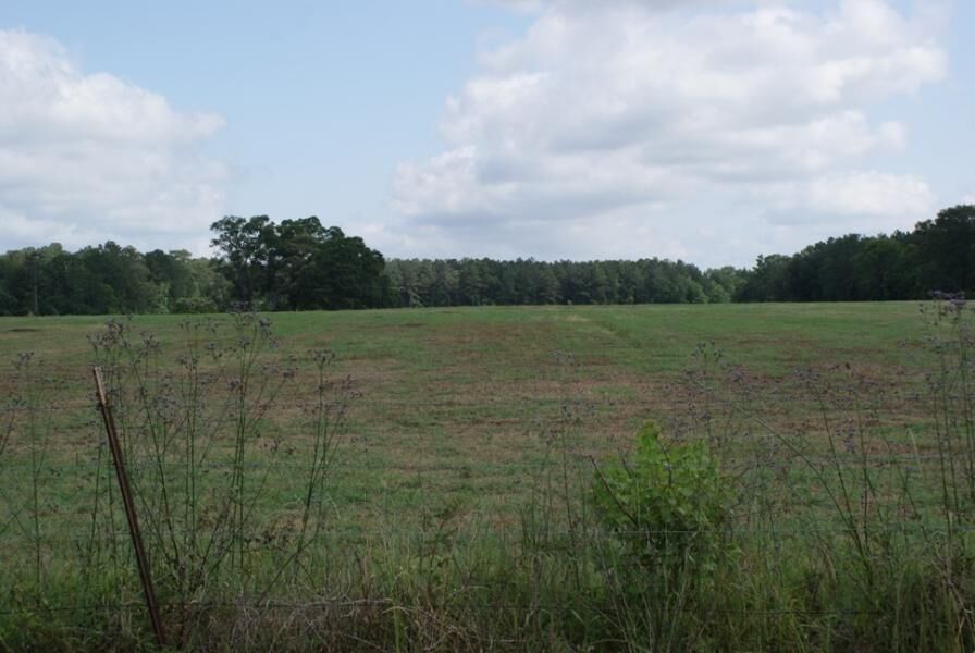 Property Photo:  Magnolia Loop Tract 1  LA 70634 