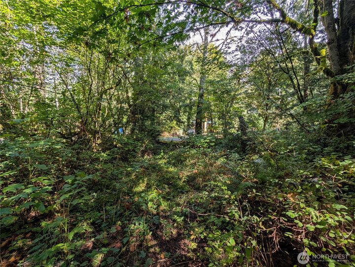 Property Photo:  41664  N Shore Lane  WA 98237 