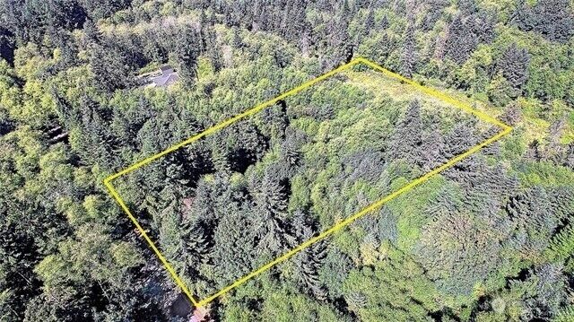 Property Photo:  0  Dodge Road  WA 98282 