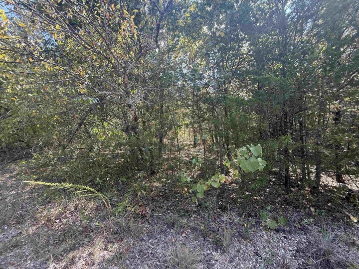 Property Photo:  Lots 234 &Amp 235 Loch Lomond  AR 72653 
