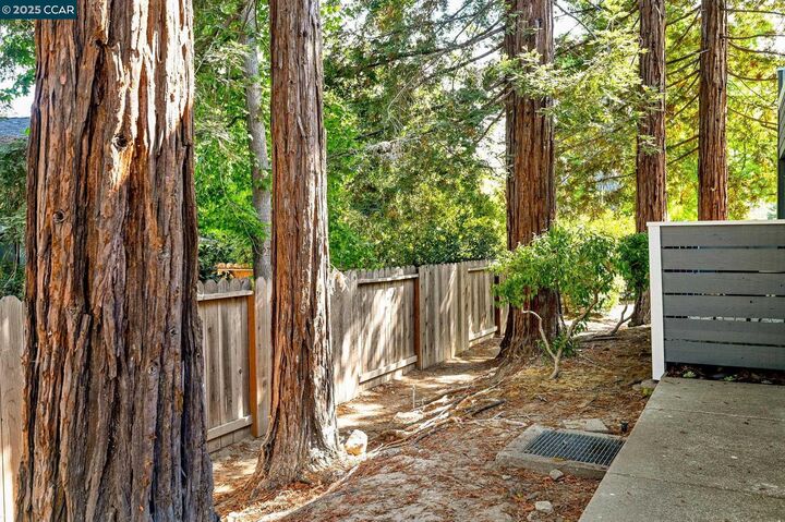 Property Photo: 650 Fig Tree Ln CA 94553