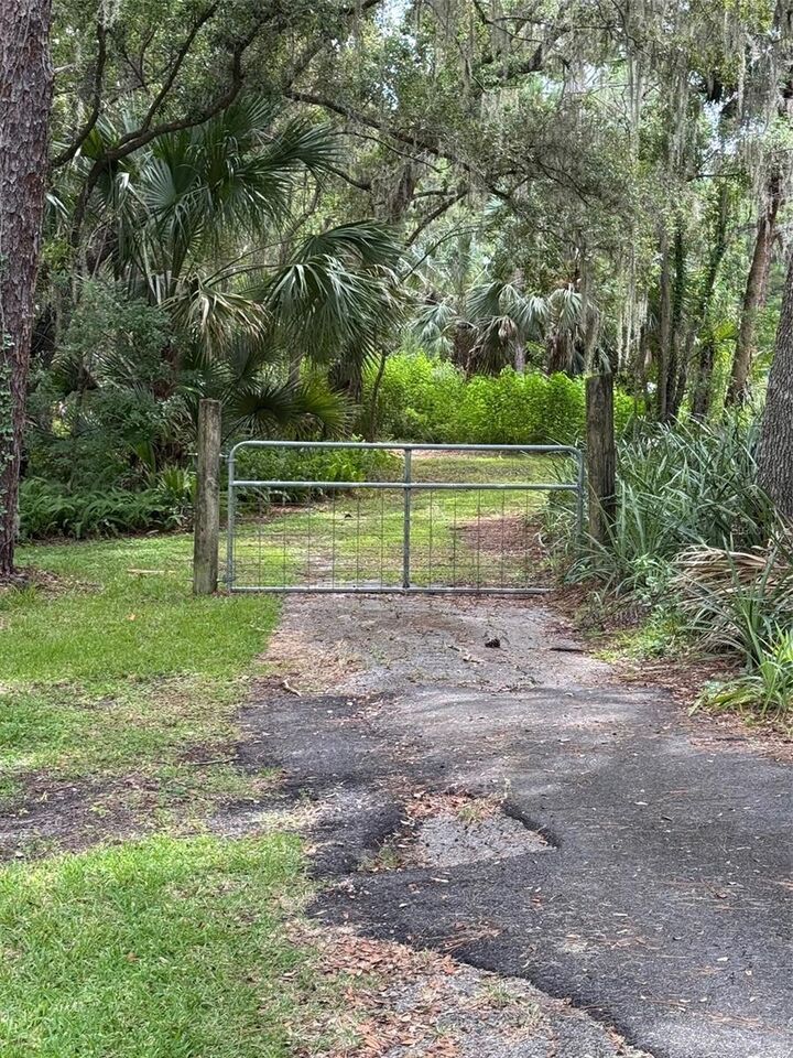 Property Photo:  Pine Tree Drive  FL 32726 