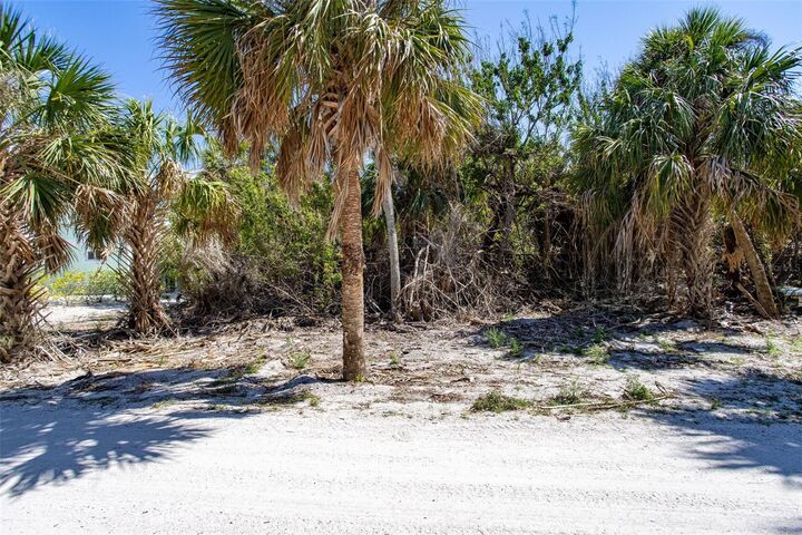 72 Palm Drive  Placida FL 33946 photo