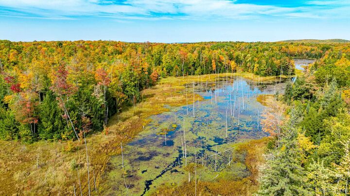 Property Photo:  Tbd Bergland Road Road  MI 49910 