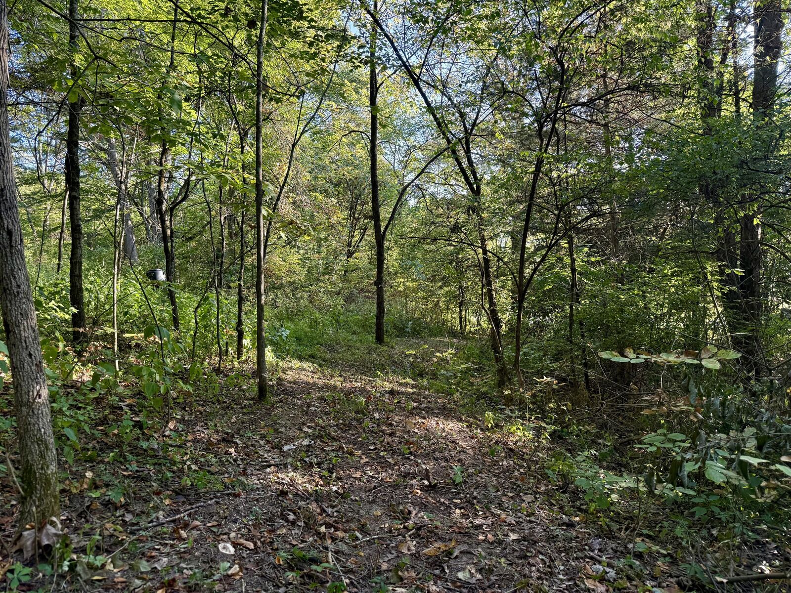 Property Photo:  57 +/- Acres Conley Road  KY 41063 