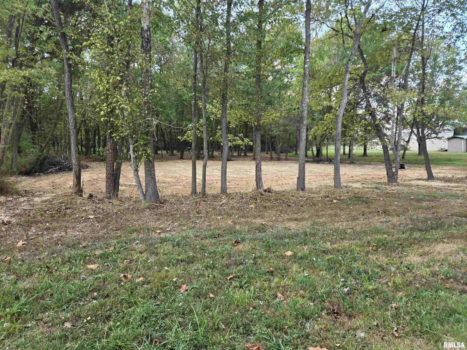 Property Photo: Lot 4 Norman Road IL 62959