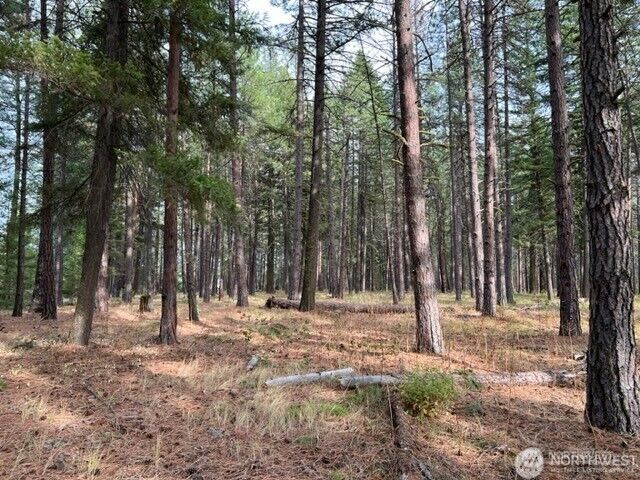 Property Photo:  0 Xxx  Unknown  WA 98922 