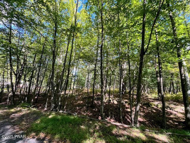 Property Photo:  Lot 425 Corner Squirrel &Amp Robin Lane  PA 18328 