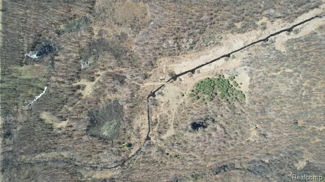 0100 Demode  Rose Twp MI 48442 photo