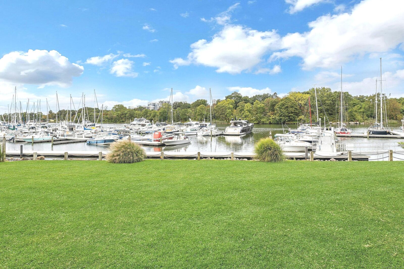 Property Photo:  43 Harbor Drive 103  CT 06902 