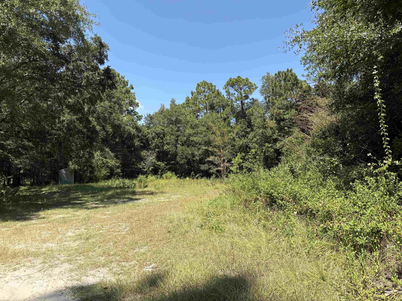 Property Photo:  Lot 10 Blue Waters Court  FL 32305 