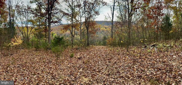 Property Photo:  0 Old Cave Road  VA 22630 