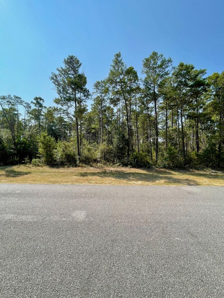 Property Photo:  328 Bream Pond Road  FL 32409 