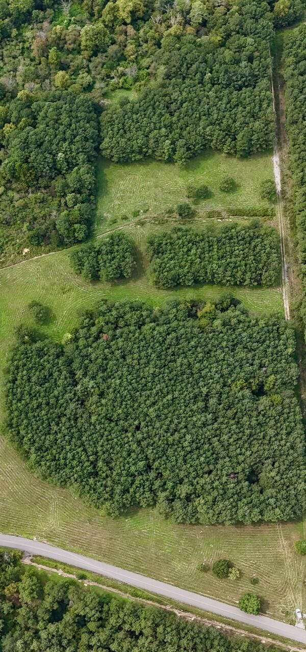 Property Photo: 00 Bucks Pocket Rd South Road TN 37362