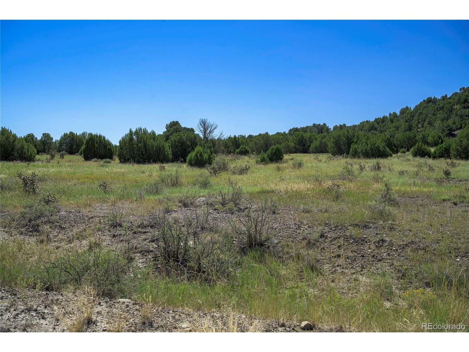 Property Photo:  37250 Kunzite Rd  CO 81082 