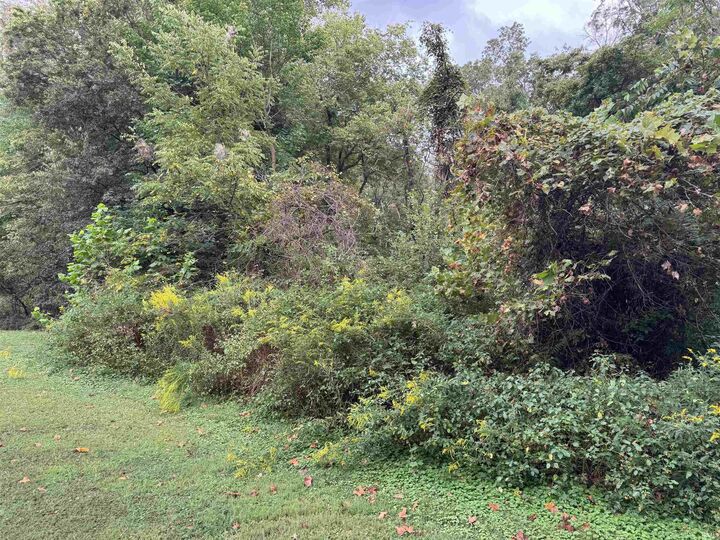 Property Photo:  0 Baker Road  IN 47601 