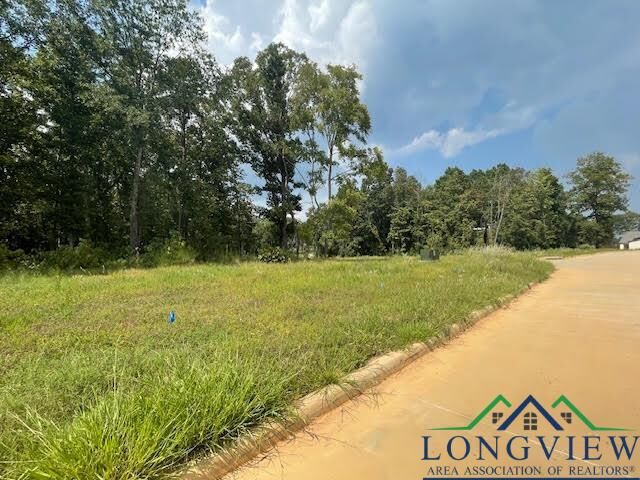 Property Photo: Tbd Briar Ridge Trail Lot 1, Blk 3 TX 75602