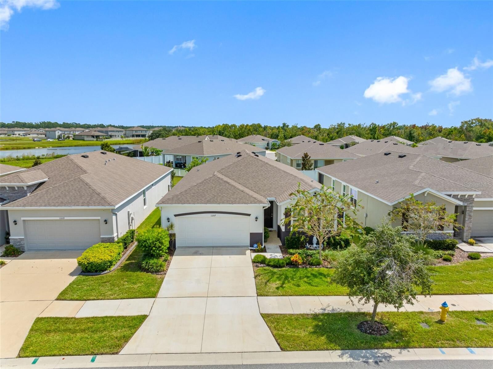 Property Photo: 13207 Waterleaf Garden Circle FL 33579