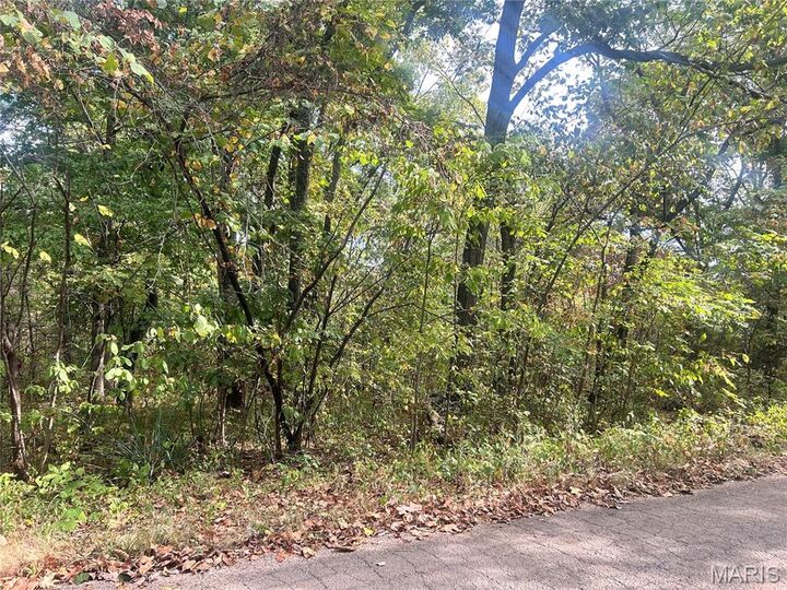 Property Photo:  0 Bell St.  MO 63664 