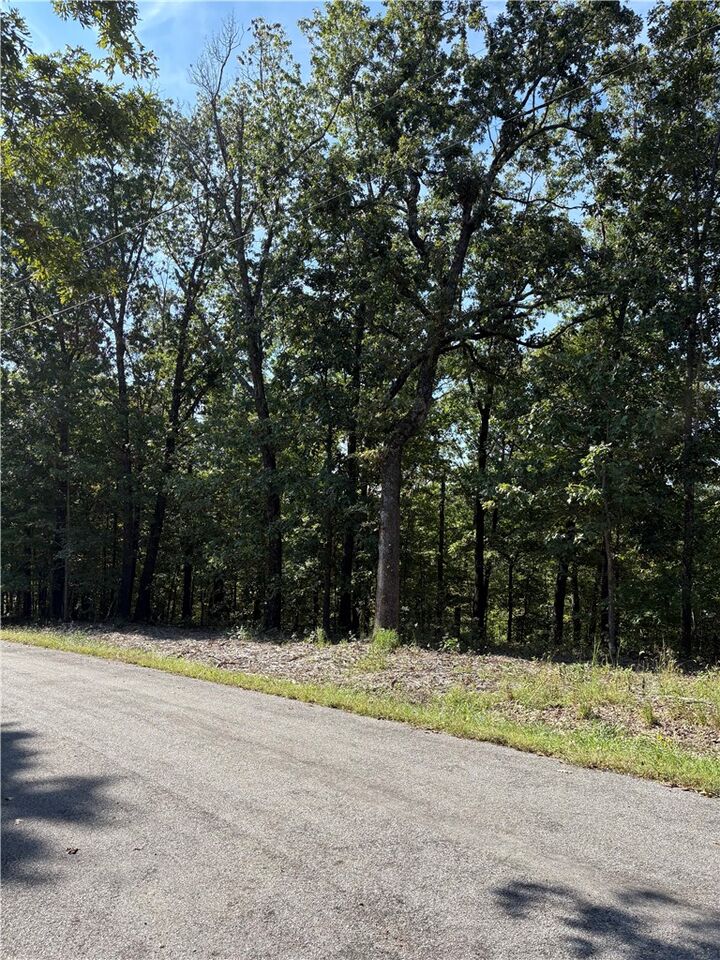 Property Photo:  Hollis Circle  AR 72715 