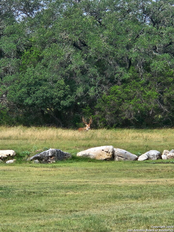Property Photo:  2110 Phantom Rider Trl  TX 78070 