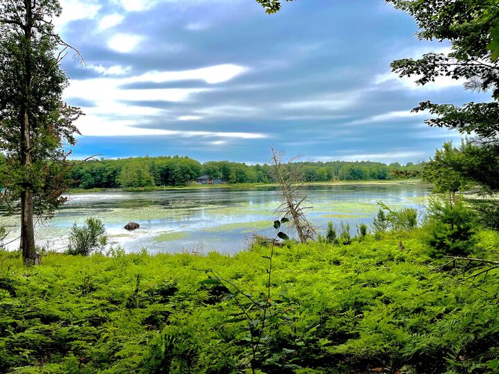 Property Photo:  0 Green Pond Lane  NY 13625 