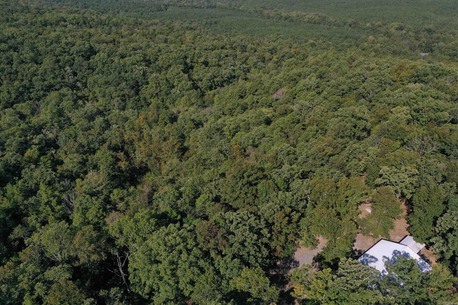 Property Photo:  374 Leisure Terrace  AR 71901 